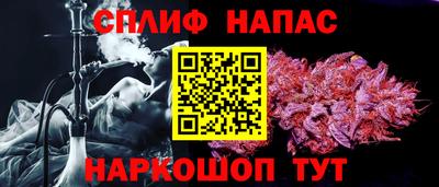 мдпв Гатчина