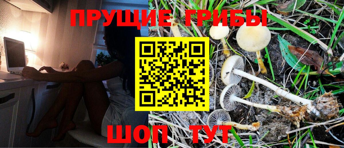 Псилоцибиновые грибы MAGIC MUSHROOMS  наркошоп  Новый Уренгой  Вход с VPN 