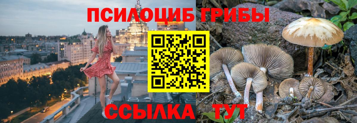 Конопля Новый Уренгой